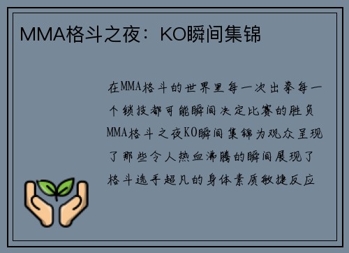 MMA格斗之夜：KO瞬间集锦